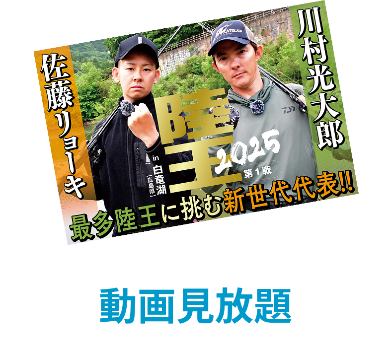 プレミアム限定以外の動画見放題