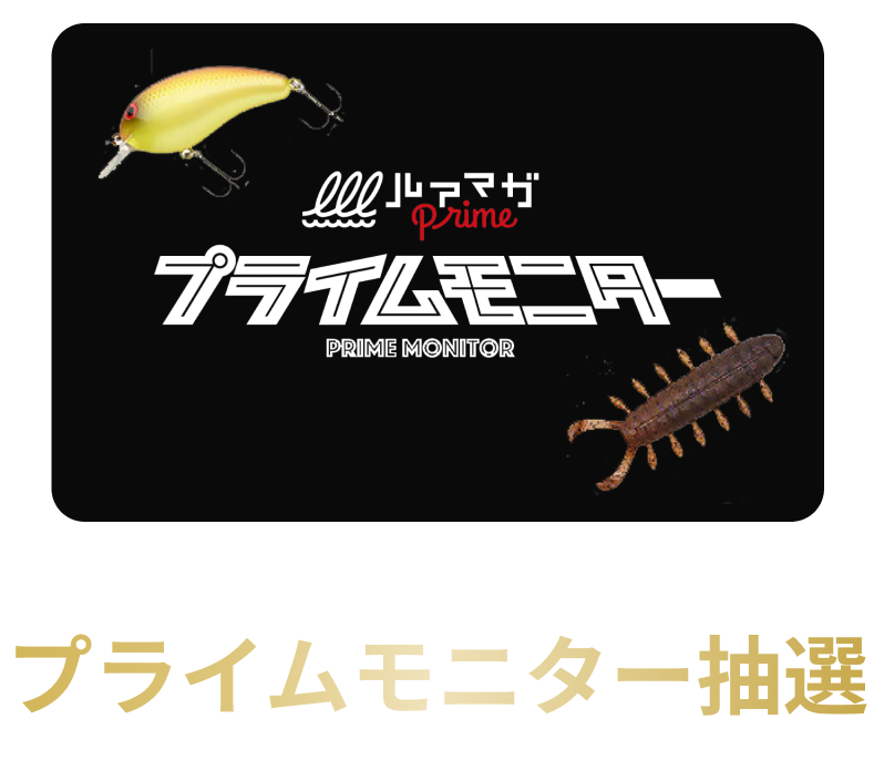 プライムモニター